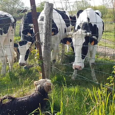 Mer, Nature, Acceuil