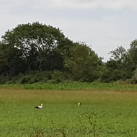 Mer, Nature, Acceuil Casa de Férias *
